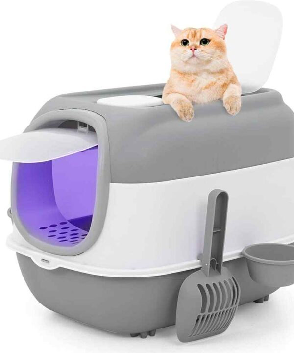 Katės tualetas su šviesa