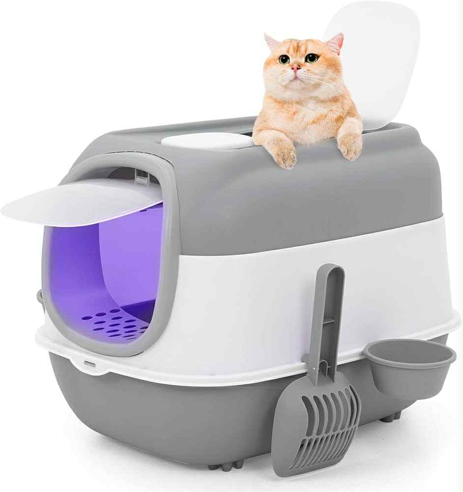 Katės tualetas su šviesa