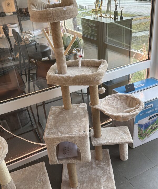 Drąskyklė katėms - 145 cm