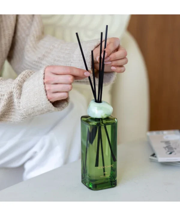 Namų kvapai su lazdelėmis Scentchips Bliss Fleur 500ml