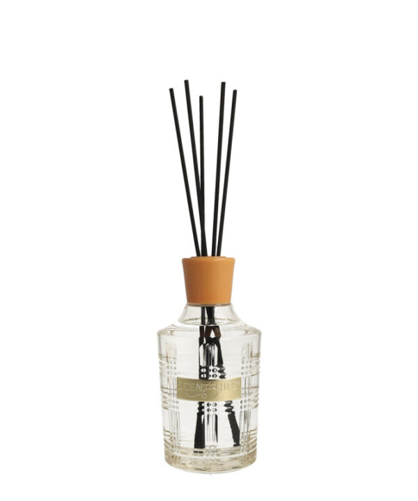 Namų kvapai su lazdelėmis Scentchips Linea Musk & Fresh Wood 300ml
