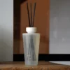 Namų kvapai su lazdelėmis Scentchips Cone Belle Vie 500ml
