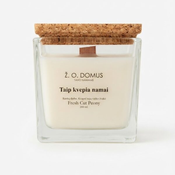 Kvapni žvakė „Taip kvepia namai“ Ž.O.Domus 200 ml.